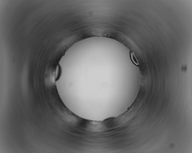 X0000101680095200807241356