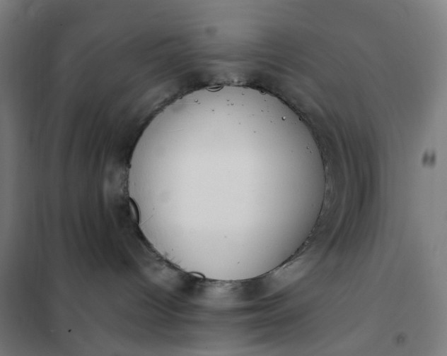 X0000101680096200807241356