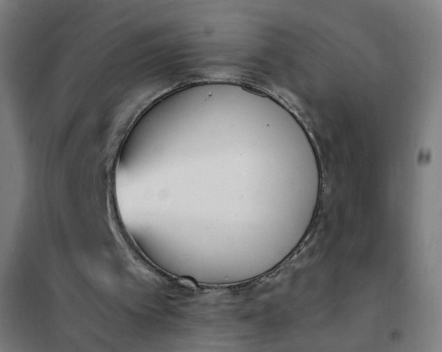 X0000101680097200807241355