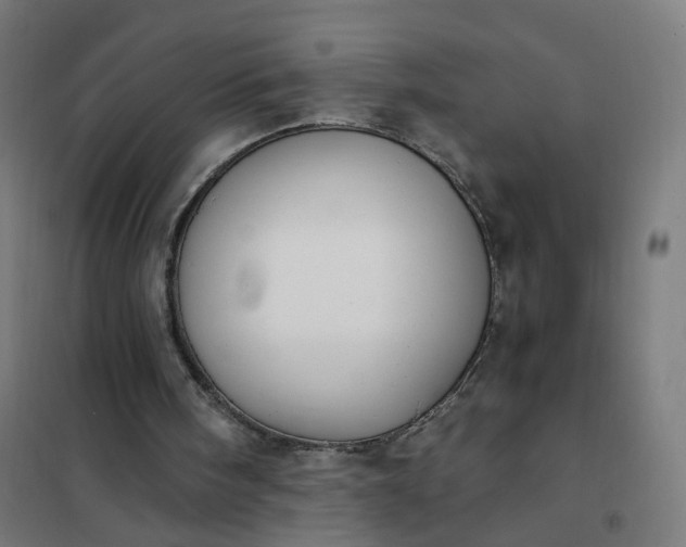 X0000101680098200807241355