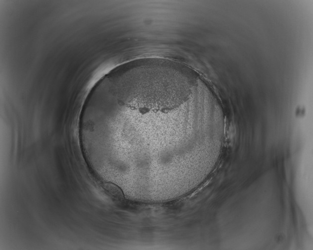 X0000101680099200807241355