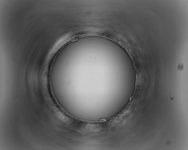 X0000101680101200807241355