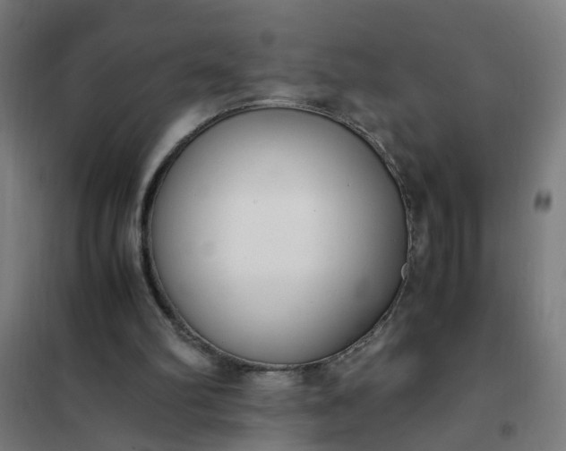 X0000101680102200807241355