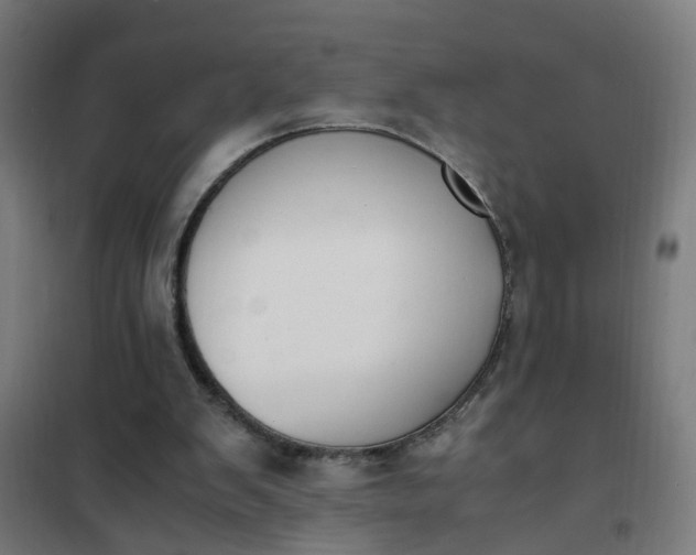 X0000101680103200807241355