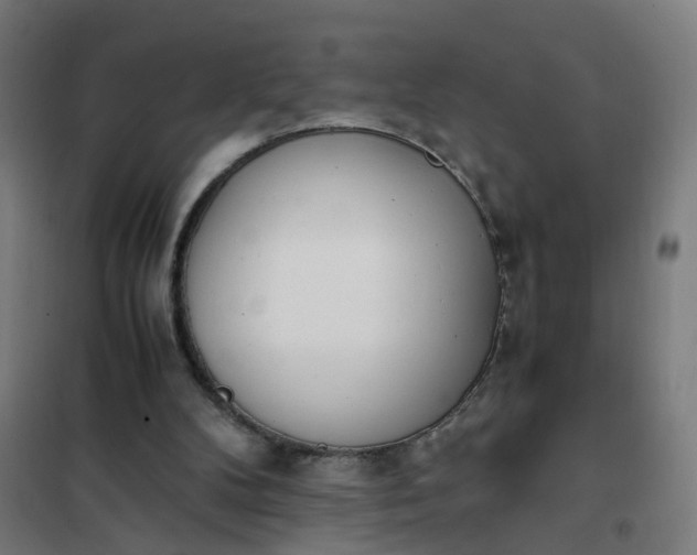 X0000101680104200807241355