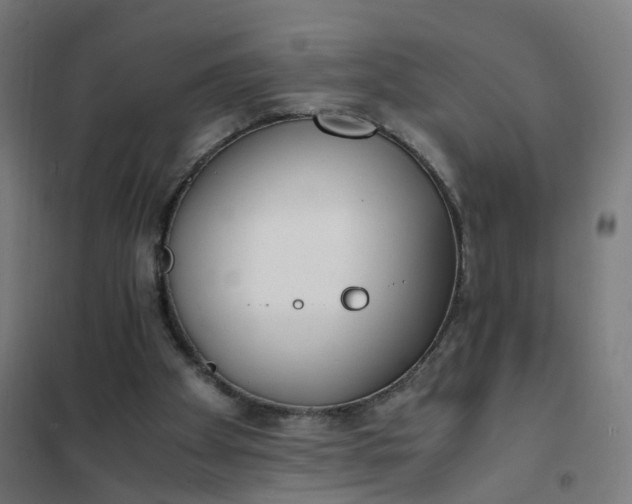 X0000101680105200807241355