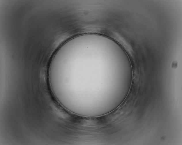 X0000101680107200807241355