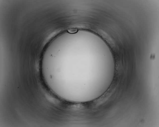 X0000101680112200807241355