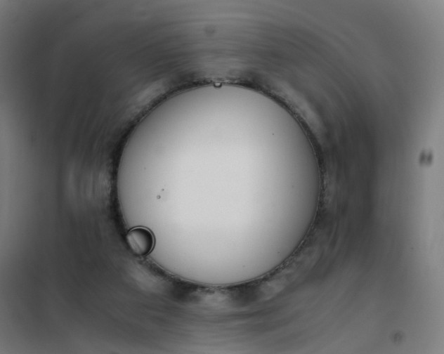 X0000101680113200807241355