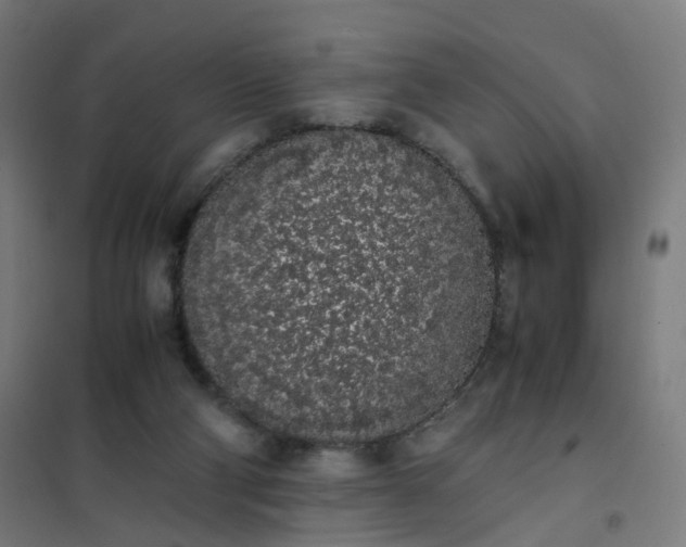 X0000101680114200807241355