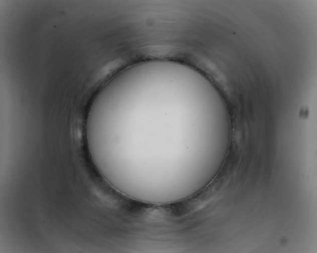 X0000101680115200807241355