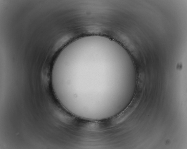 X0000101680116200807241355