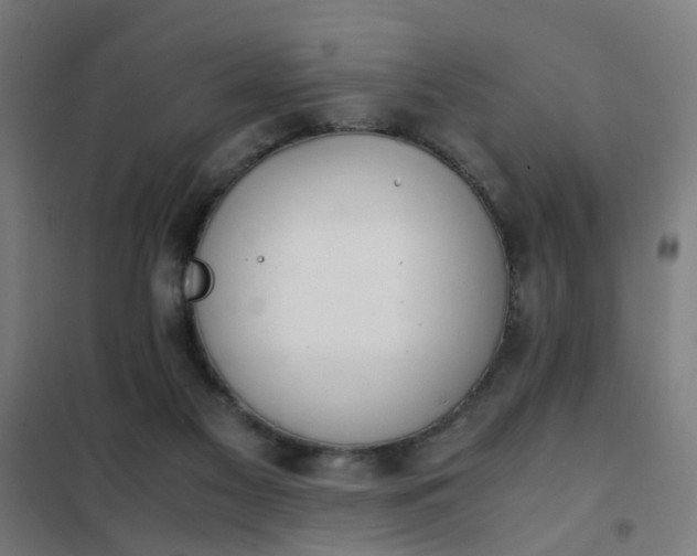 X0000101680117200807241355