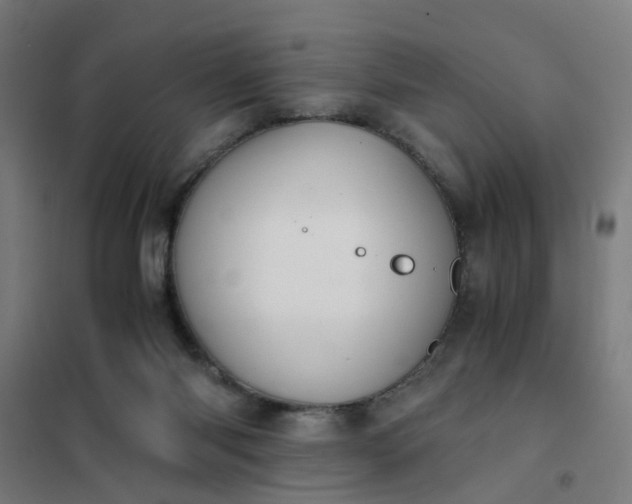 X0000101680118200807241355