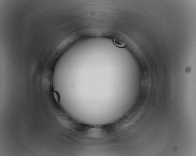 X0000101680119200807241355