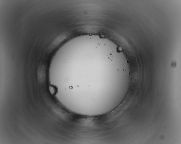 X0000101680120200807241355