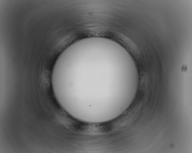 X0000101680121200807241355