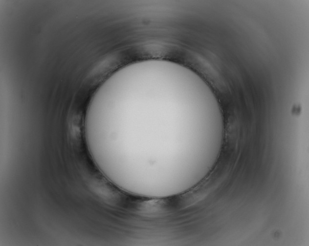 X0000101680122200807241355