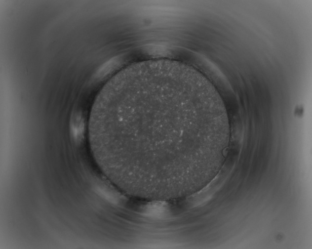 X0000101680124200807241355