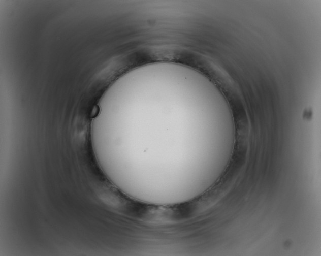 X0000101680125200807241355