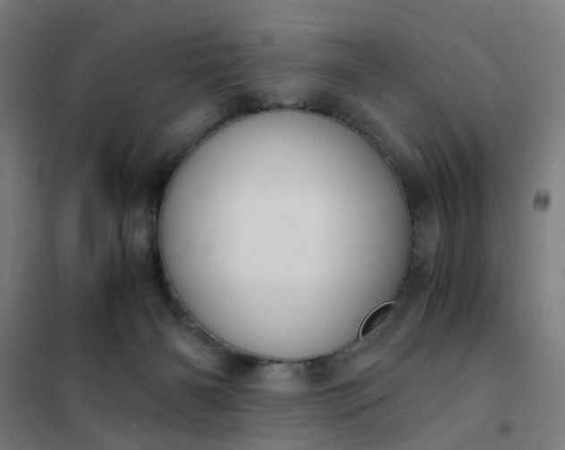 X0000101680126200807241355