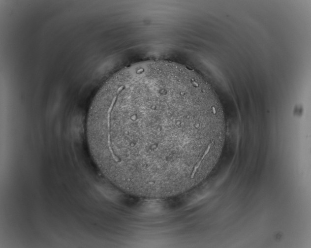 X0000101680127200807241355