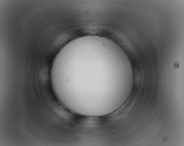 X0000101680128200807241355