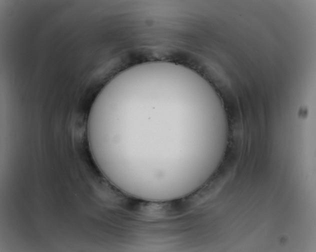 X0000101680129200807241355