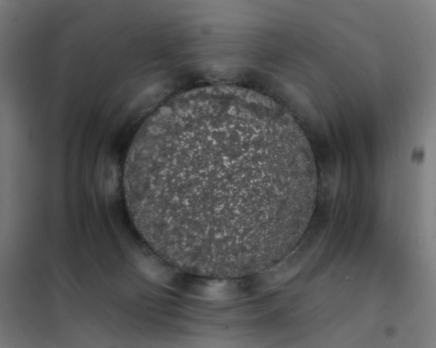 X0000101680130200807241355