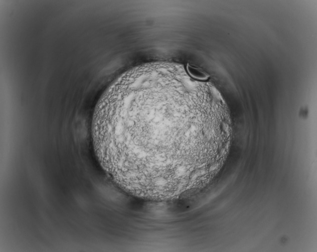 X0000101680131200807241355