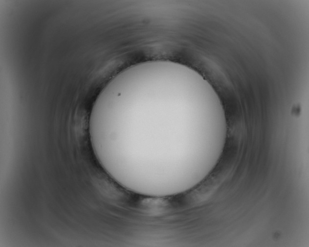 X0000101680133200807241355