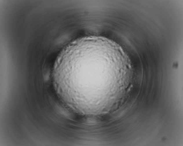 X0000101680134200807241355