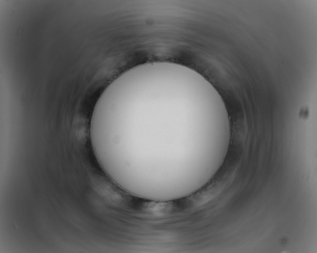 X0000101680135200807241355