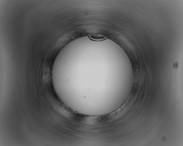 X0000101680136200807241355