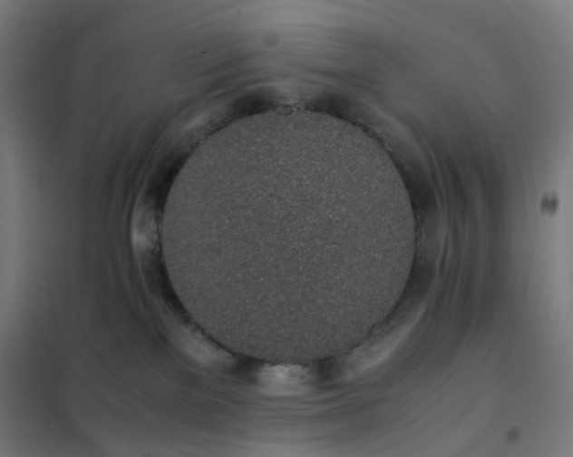 X0000101680137200807241355