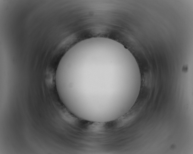 X0000101680138200807241355