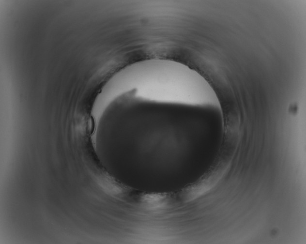 X0000101680139200807241355