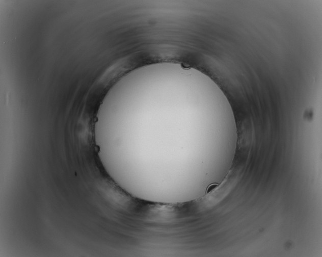 X0000101680140200807241355