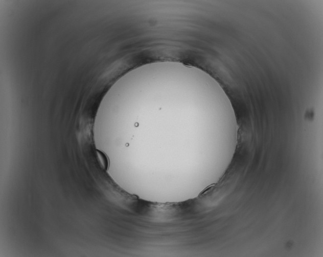 X0000101680141200807241355