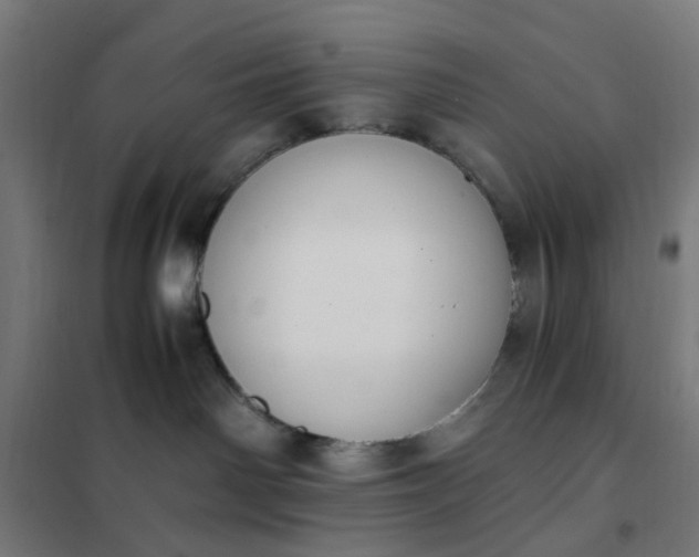 X0000101680142200807241355