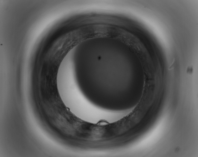 X0000101680143200807241355