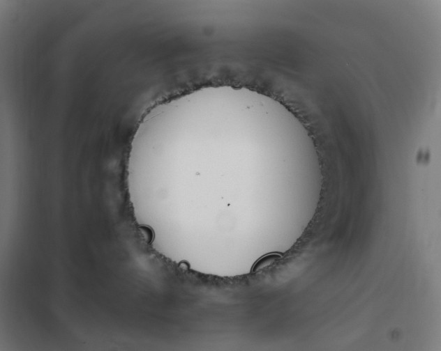 X0000101680144200807241355