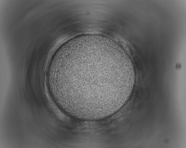 X0000101680145200807241354