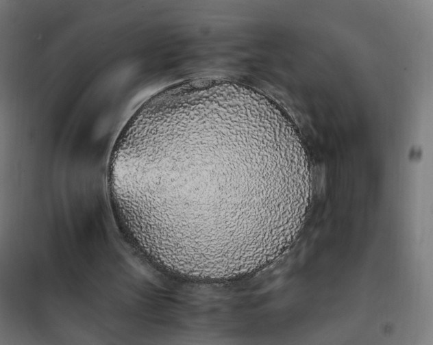 X0000101680147200807241354