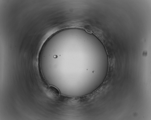 X0000101680148200807241354