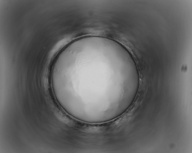 X0000101680149200807241354