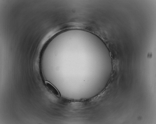 X0000101680150200807241354