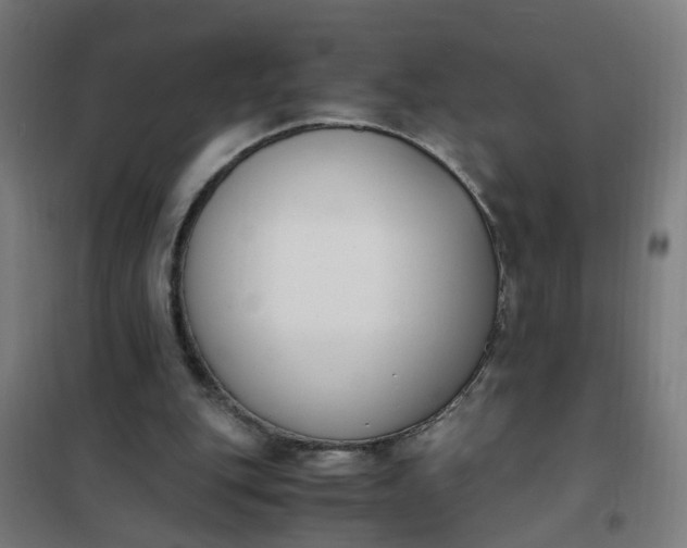 X0000101680151200807241354