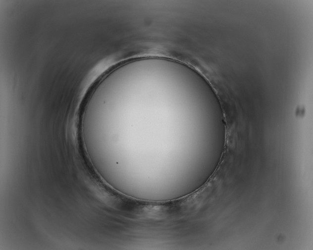 X0000101680152200807241354