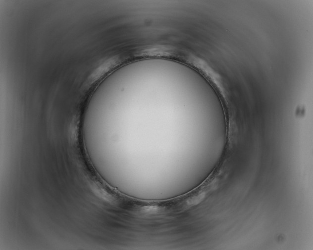 X0000101680153200807241354